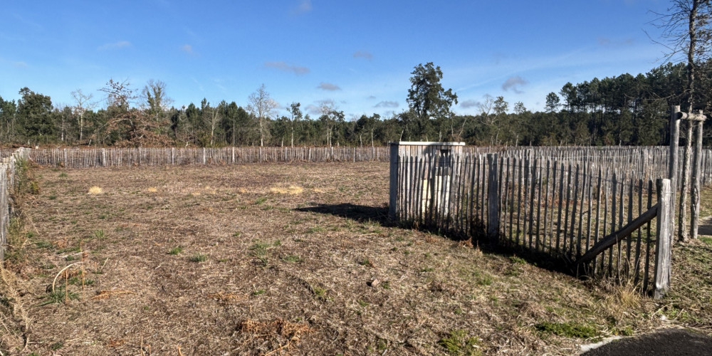 terrain à MOLIETS ET MAA (40660)